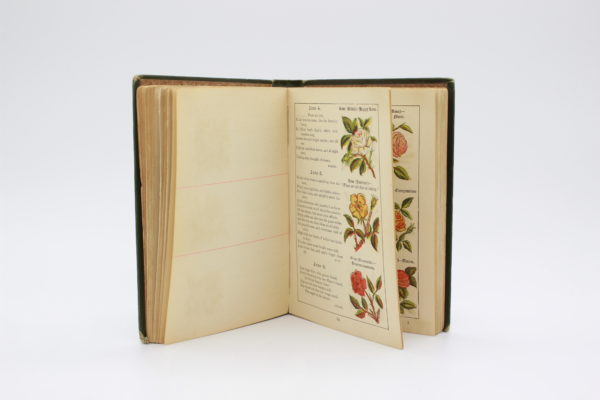 vintage  book - 画像 (4)