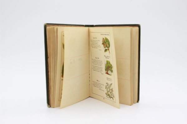 vintage  book - 画像 (8)