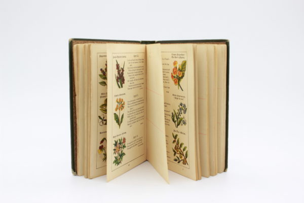 vintage  book - 画像 (7)